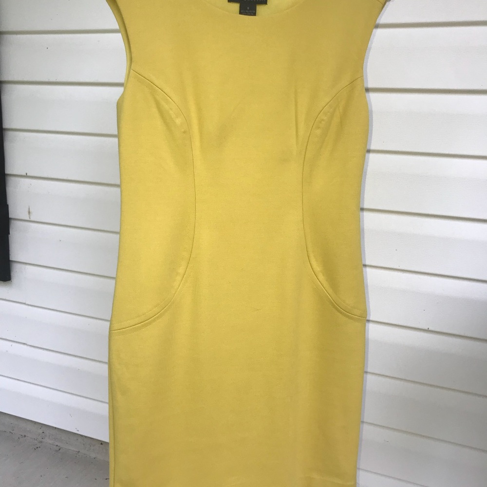 Dress sheath